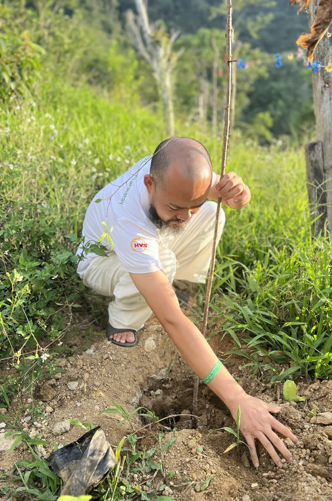 NGUYÊN TẮC CHỌN CÂY TRỒNG TRONG FARMSTAY