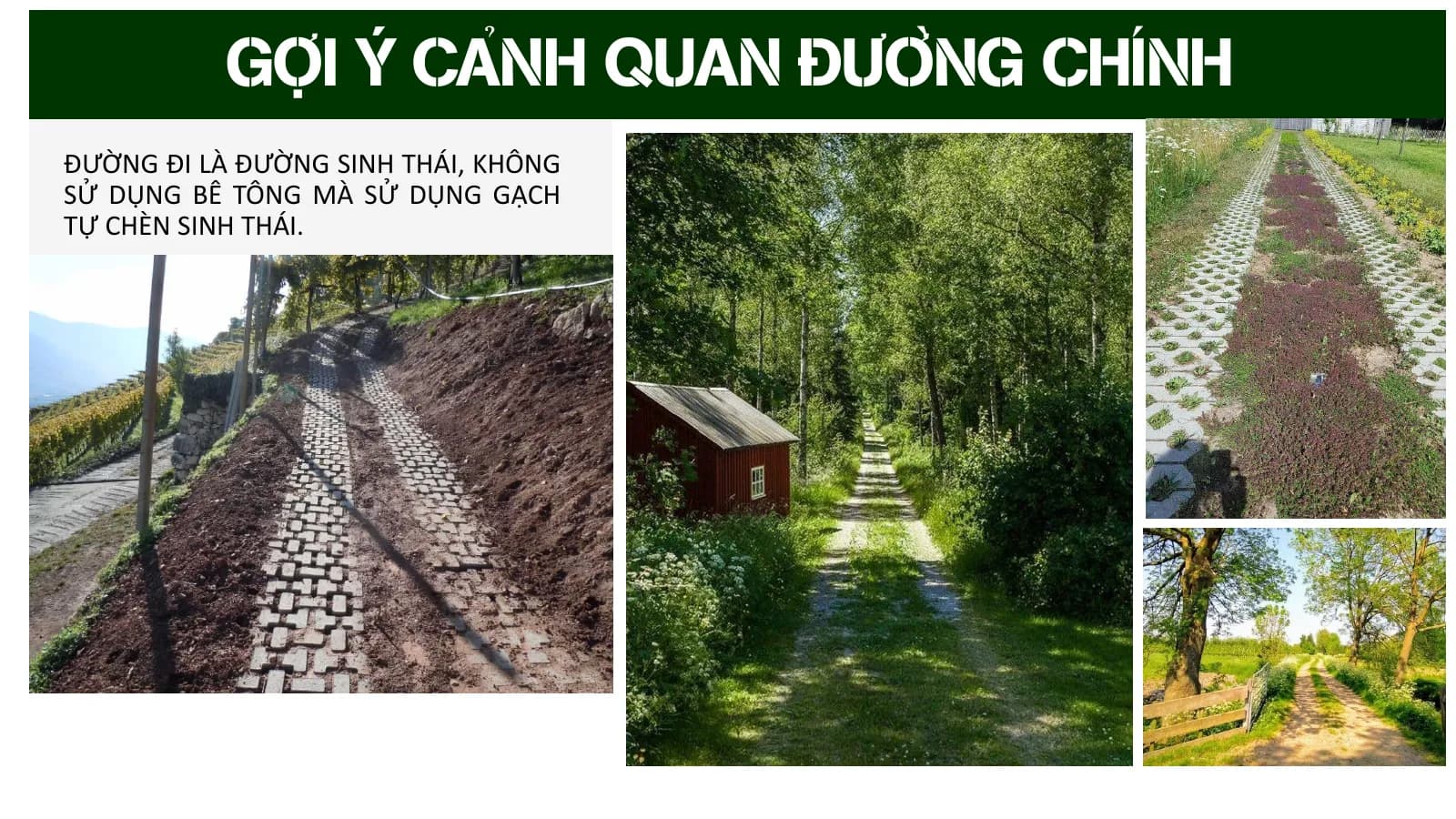 Bản vẽ Phức hợp Farmstay Hói Dừa (Huế), hình 3/4
