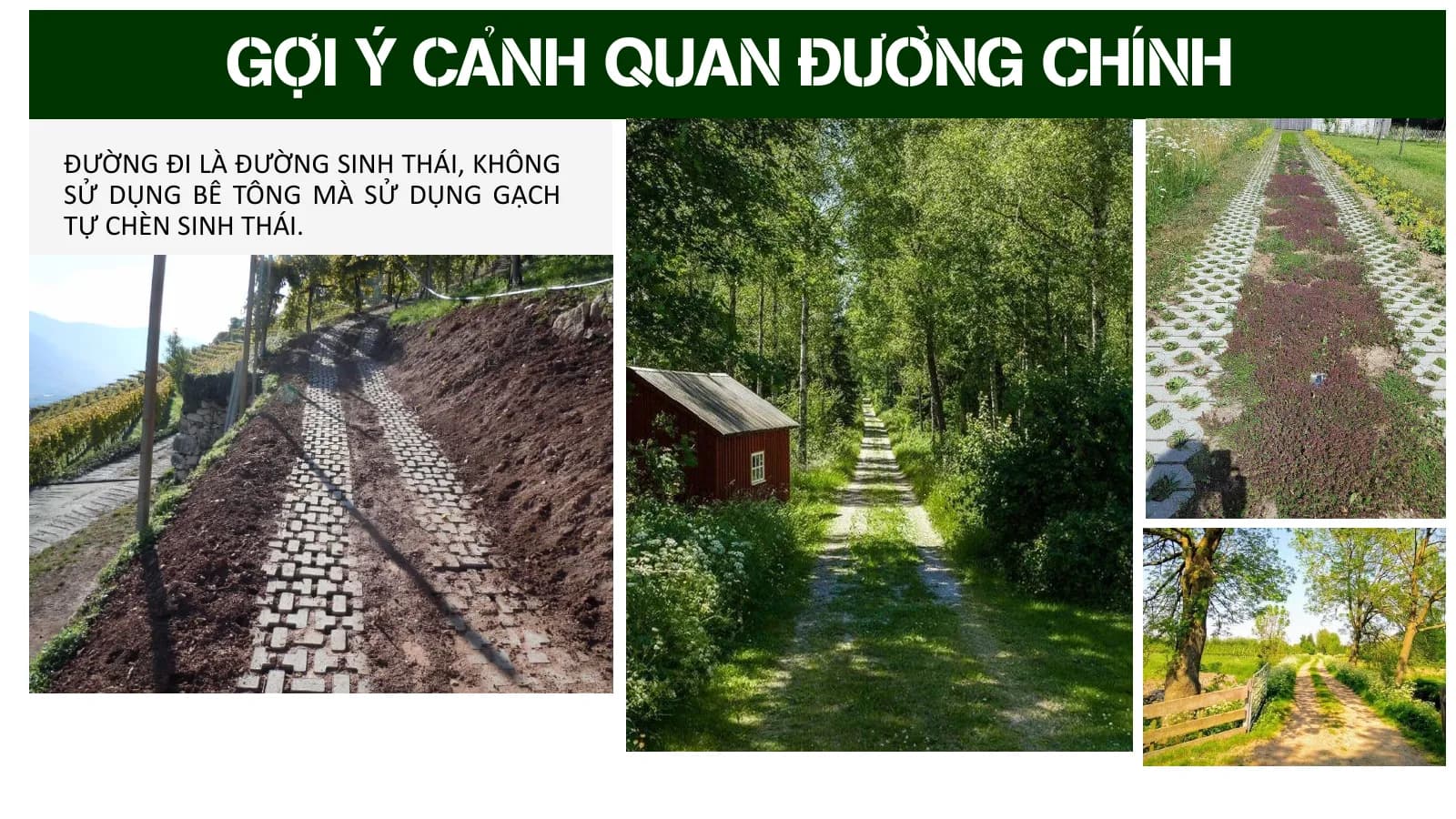Bản vẽ Khu du lịch sinh thái và trải nghiệm văn hóa nông nghiệp cà phê Rẫy Nhà Si (Đắk Lắk), hình 4/4