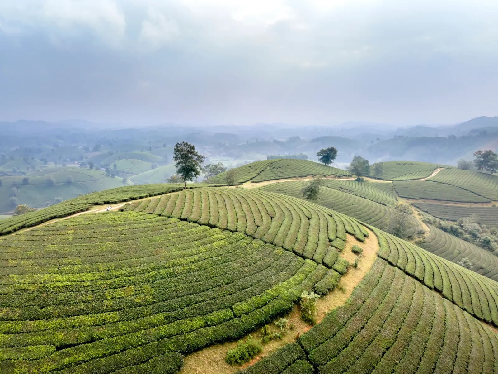 Bảo tồn rừng và sinh kế: farmstay như công cụ bảo vệ đa dạng sinh học