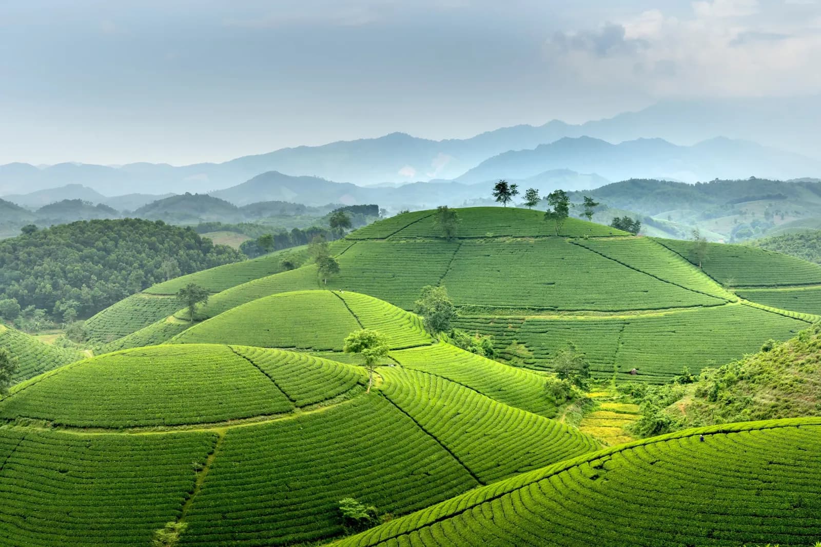 Farmstay và trường học: mô hình liên kết giáo dục nông nghiệp