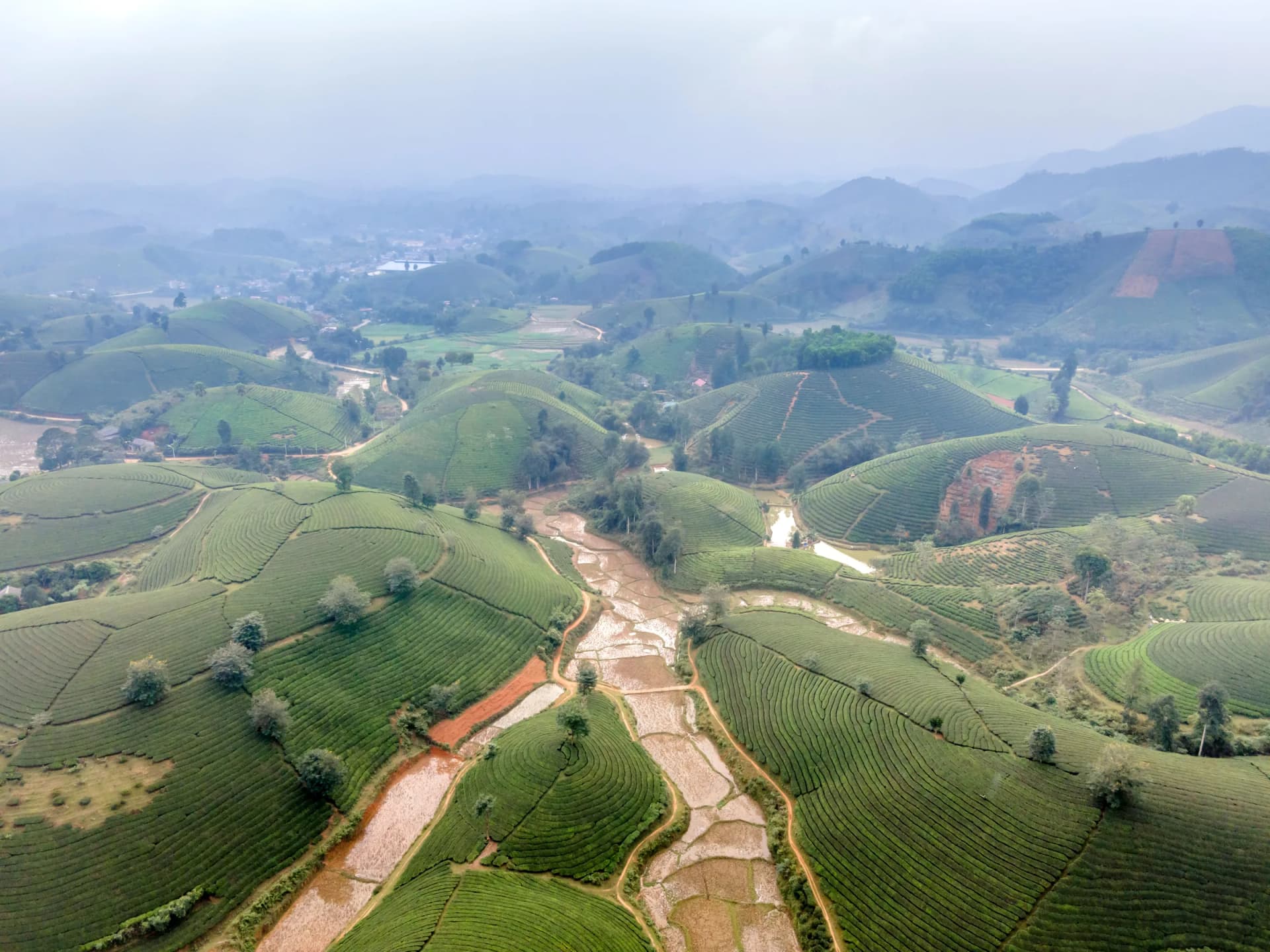 Cách định giá phòng farmstay: công thức từ chi phí thực tế