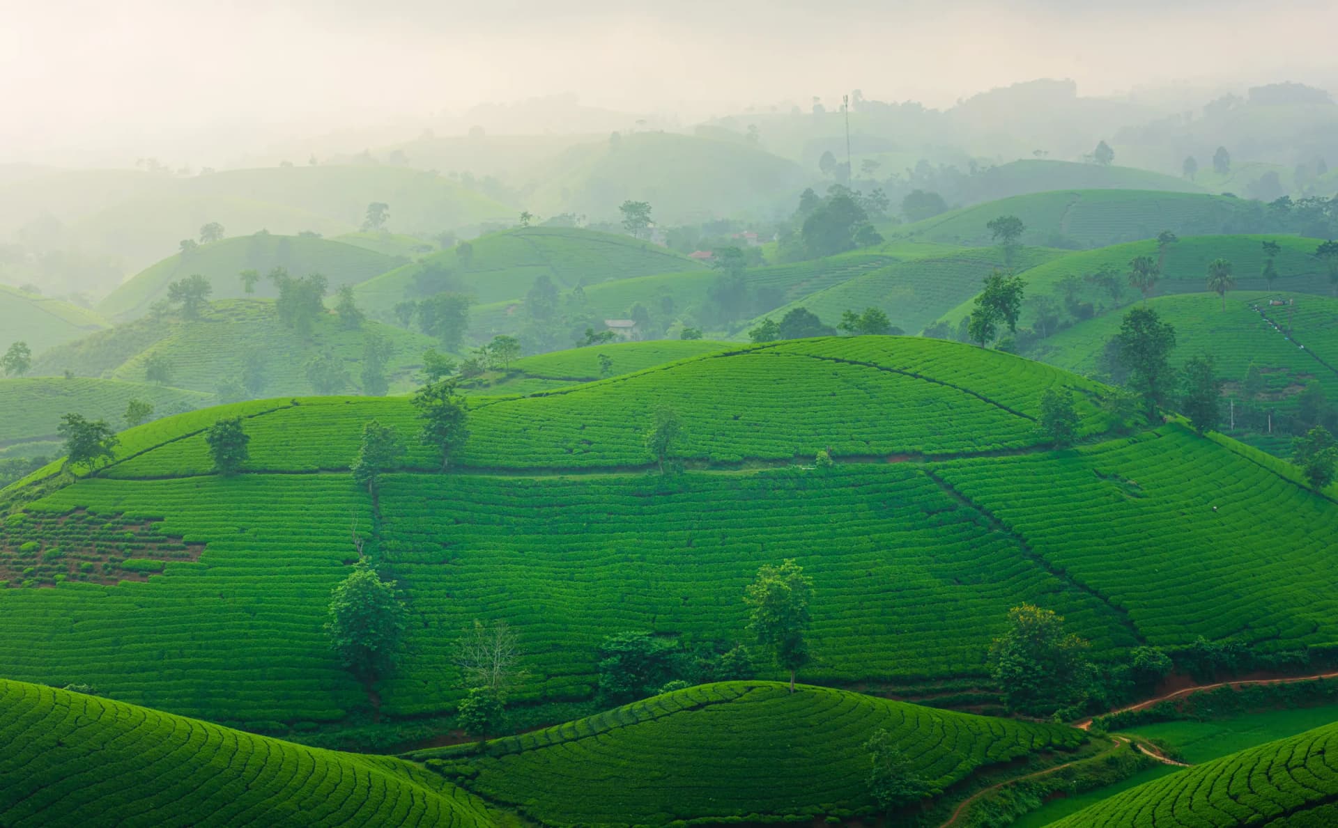 Đắk Nông farmstay cà phê — buôn làng người Mnông và hồ Tà Đùng