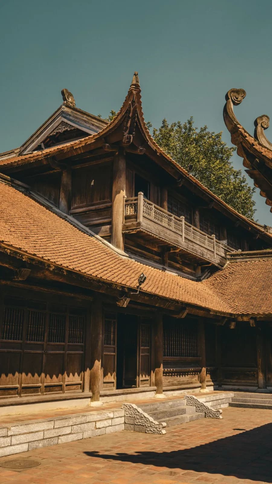 Mỹ Sơn Quảng Nam — farmstay hữu cơ giữa vùng đệm di sản