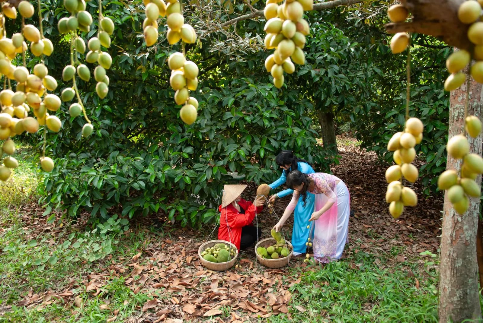 Xây dựng thương hiệu farmstay từ câu chuyện gia đình