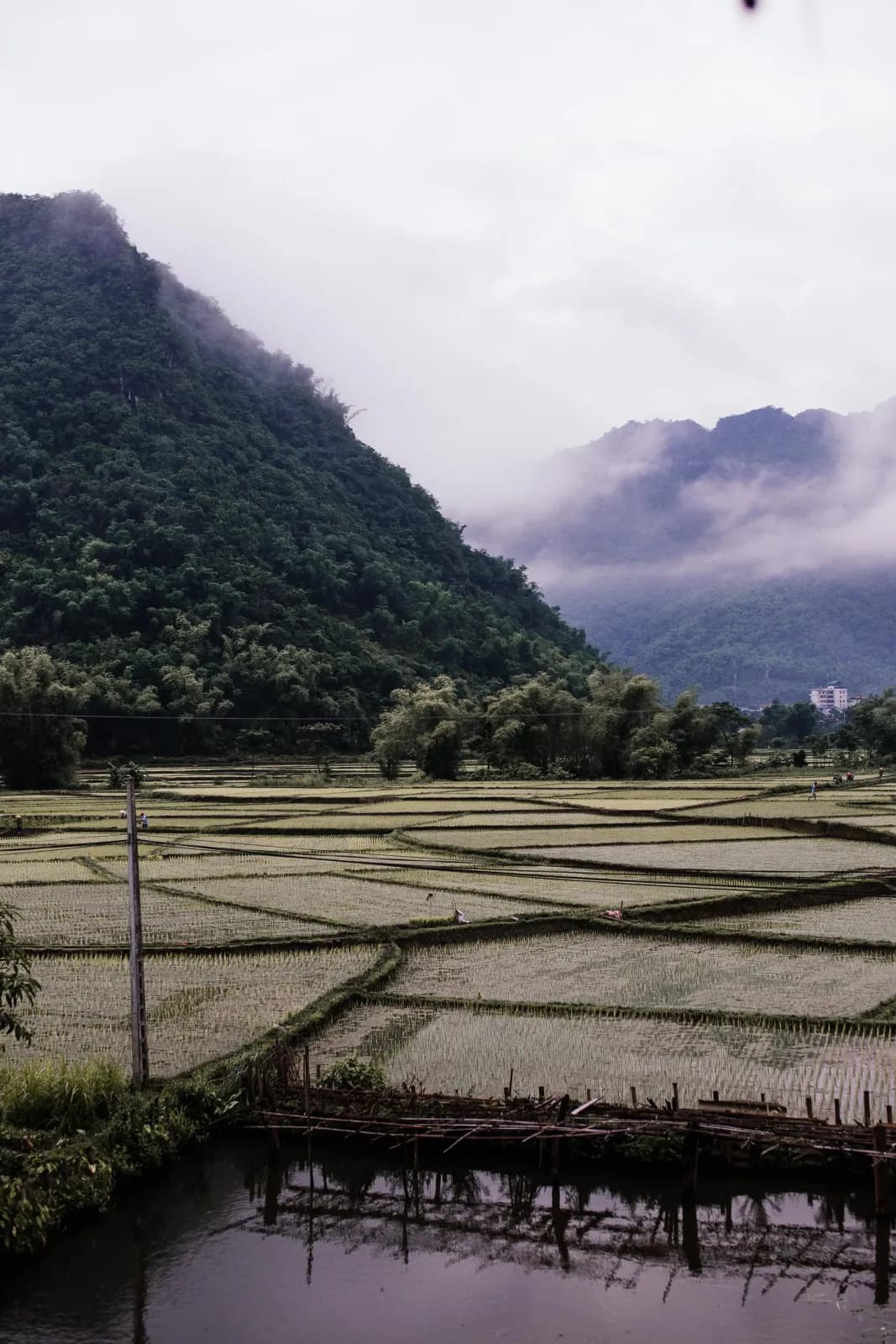Đăng ký pháp lý farmstay: giấy phép, hộ kinh doanh, PCCC