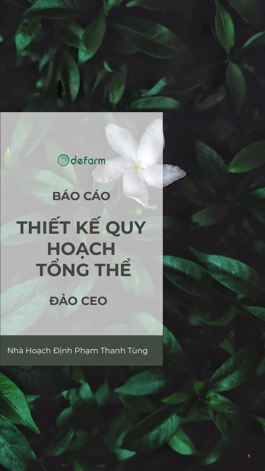 Đảo CEO