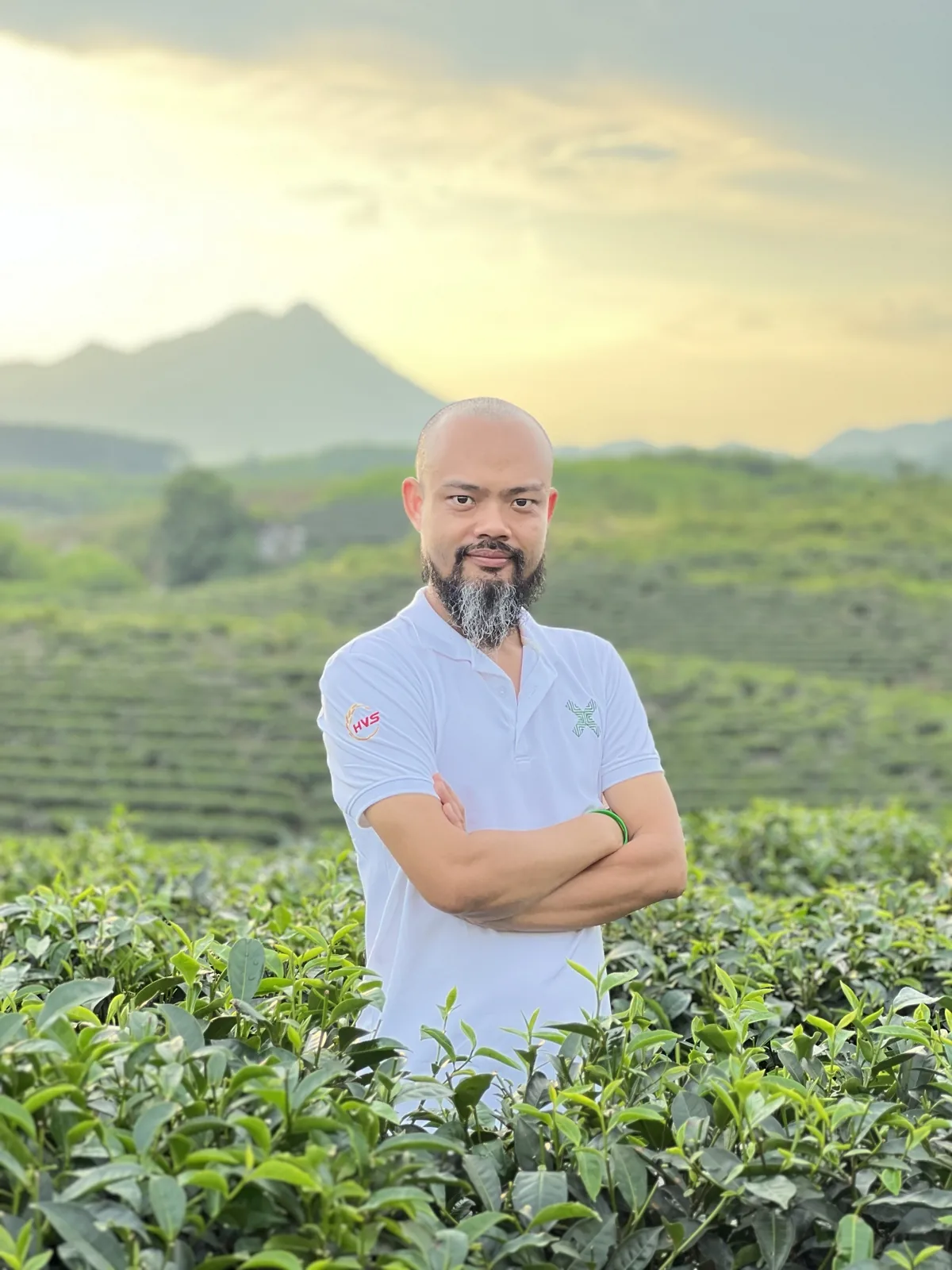 Phạm Thanh Tùng khoanh tay đứng giữa đồi chè, phía sau là dãy núi lúc hoàng hôn
